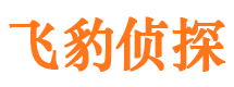 富民市侦探公司